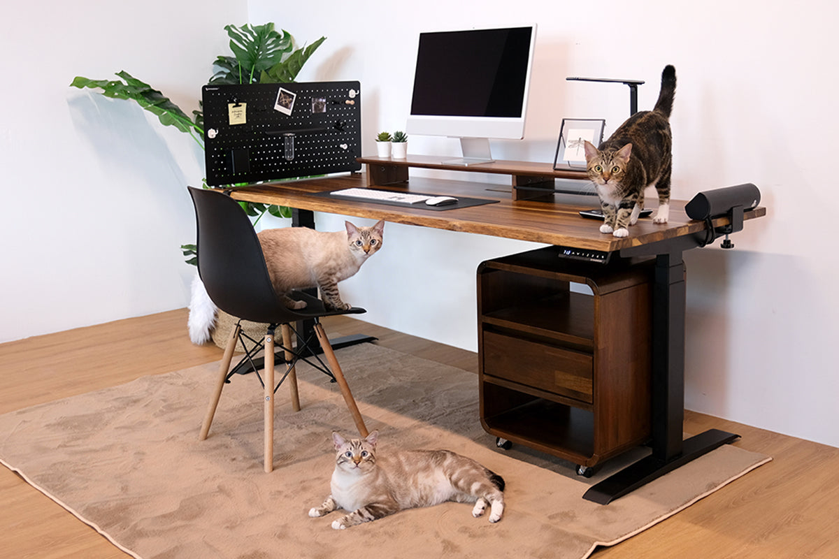 Redefining What a Home Office Can Be | Setup Ideas & Tips