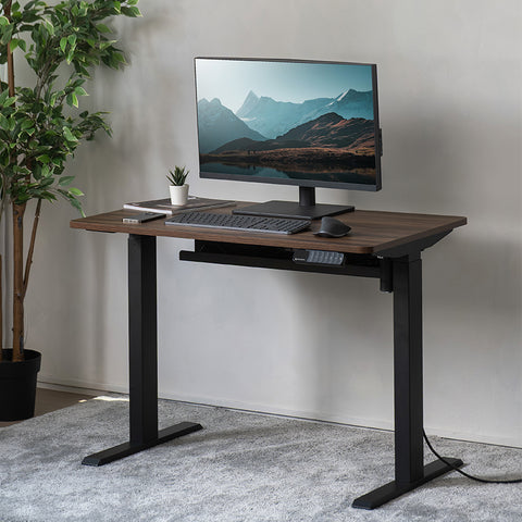 Walnut-Black