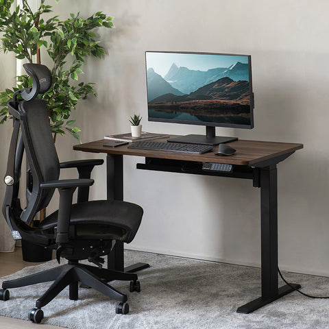 Walnut-Black