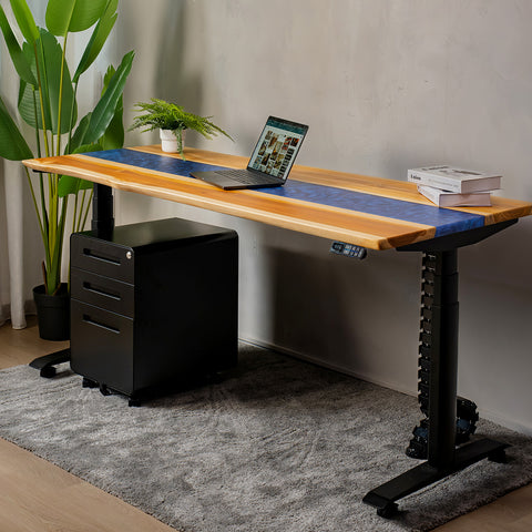 The Complete Studio Bundle