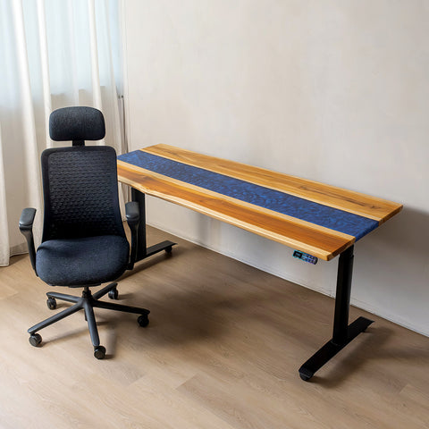 The Complete Studio Bundle