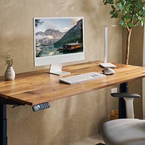 Ergonomic Standing Desks